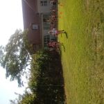 20190619_085634.jpg