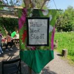 WhatsApp Image 2022-05-10 at 14.51.17.jpeg