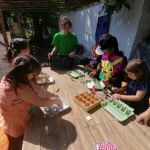 WhatsApp Image 2022-05-10 at 14.50.43.jpeg