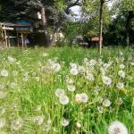 WhatsApp Image 2022-05-10 at 14.51.13.jpeg